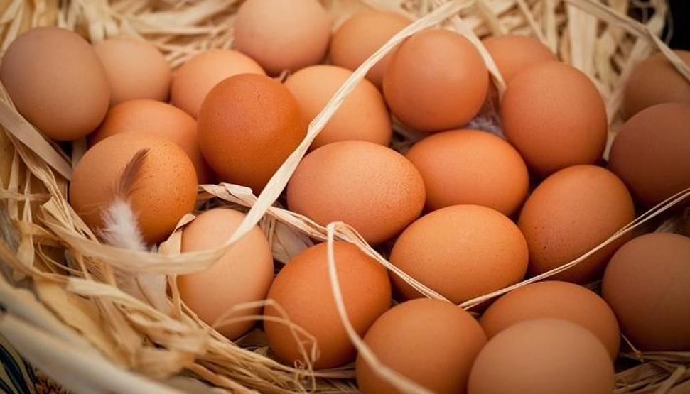 Yumurta satışında yeni dönem Bu numaralara dikkat