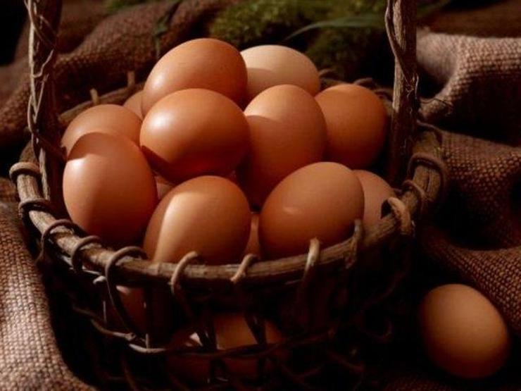 Yumurta satışında yeni dönem Bu numaralara dikkat
