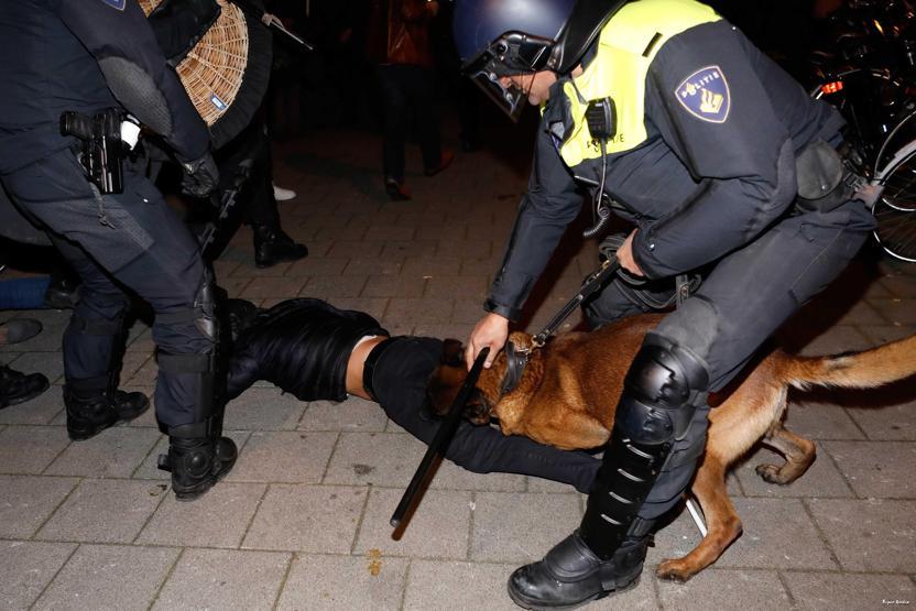 Hollandada polis köpeğinin ısırdığı Türk, İstanbulda tedavi görecek