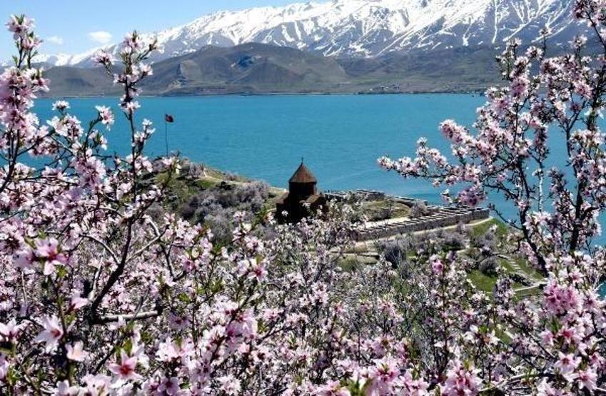 Akdamar Adası baharın güzelliğine büründü