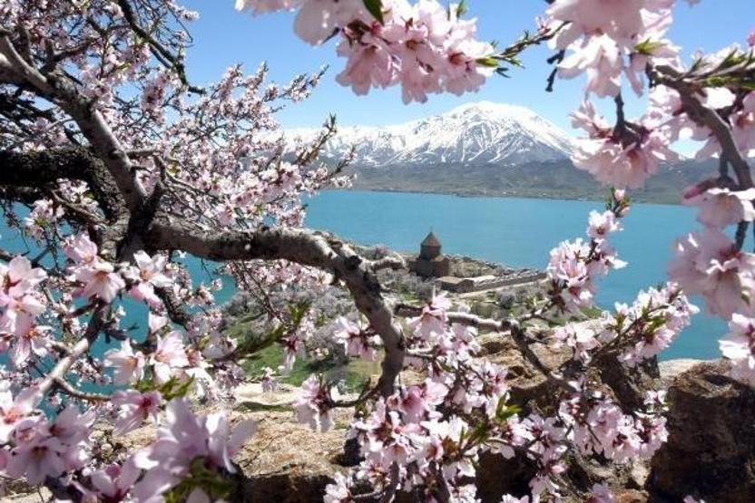 Akdamar Adası baharın güzelliğine büründü