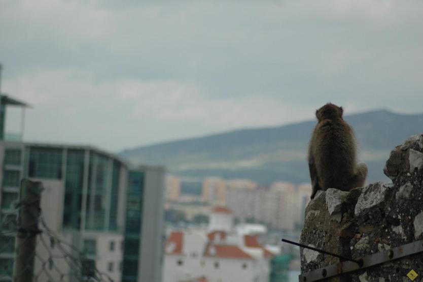 Akdenizi Atlas Okyanusu’na Bağlayan Nokta: Cebelitarık