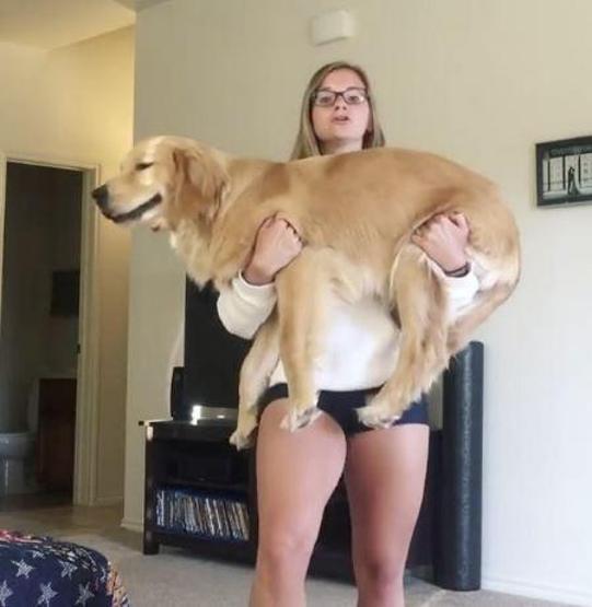 Sosyal medyanın son çılgınlığı: Köpeği dambıl yapmak