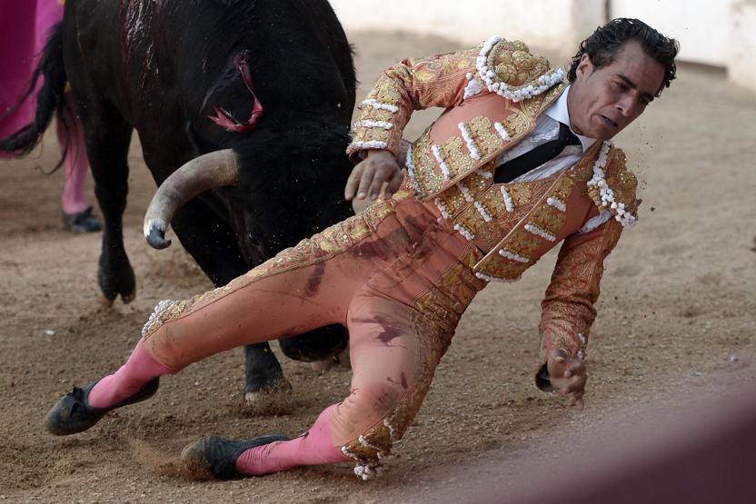 Ünlü matador boğanın darbeleriyle hayatını kaybetti