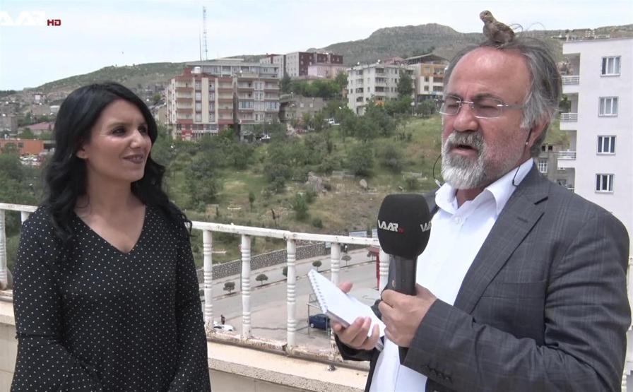 Canlı yayında muhabirin başına kuş kondu