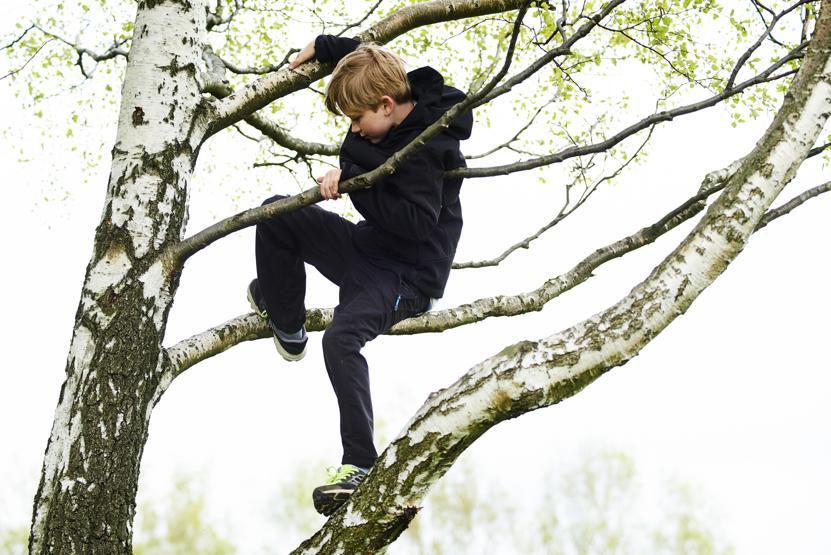 Поднимайтесь пацаны. Мальчишки на дереве. I can Climb a Tree. Как поднимаются по деревьям в Аменике.