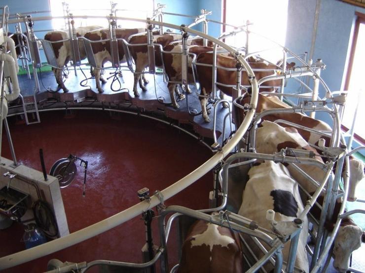 Her yediğiniz köfte okyanusların ölmesine sebep oluyor