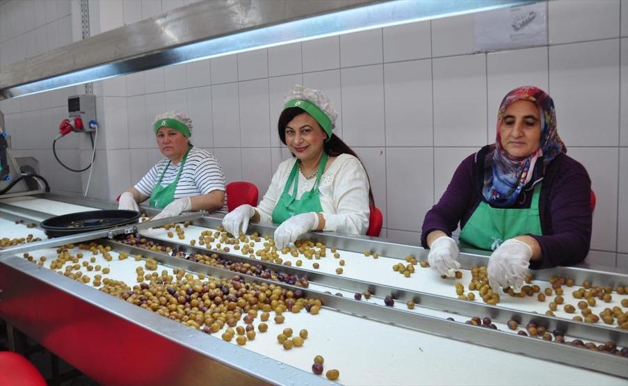 Gündelikçilikten iş kadınlığına