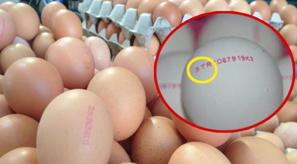 Yumurta satışında yeni dönem Bu numaralara dikkat