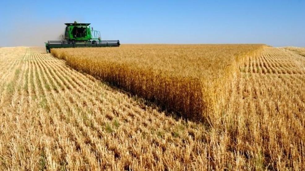 Türkiye için ürkütücü rakam: 20 milyondan 7 milyona geriledi