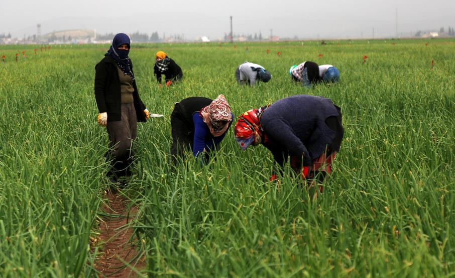 35 lira için bombaların gölgesinde çalışıyorlar