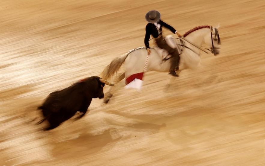 Kadın matador arenaya çıktı