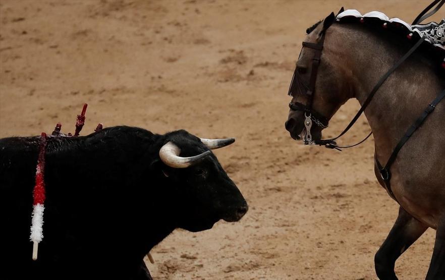 Kadın matador arenaya çıktı