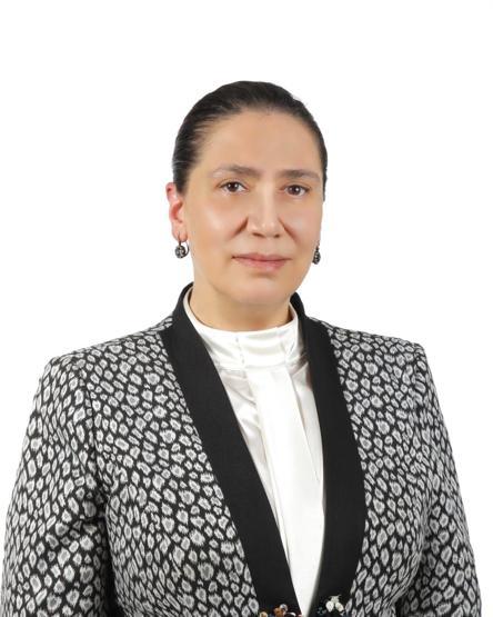 İşte 24 Haziran seçimlerinde Meclise giren kadın milletvekilleri