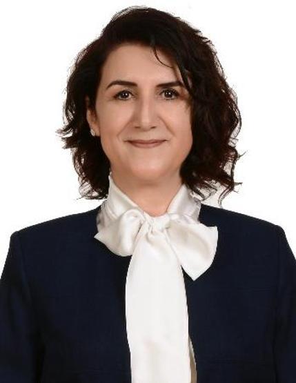 İşte 24 Haziran seçimlerinde Meclise giren kadın milletvekilleri