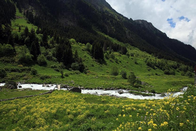 Rizede 11 Ayder Yaylası daha bulundu