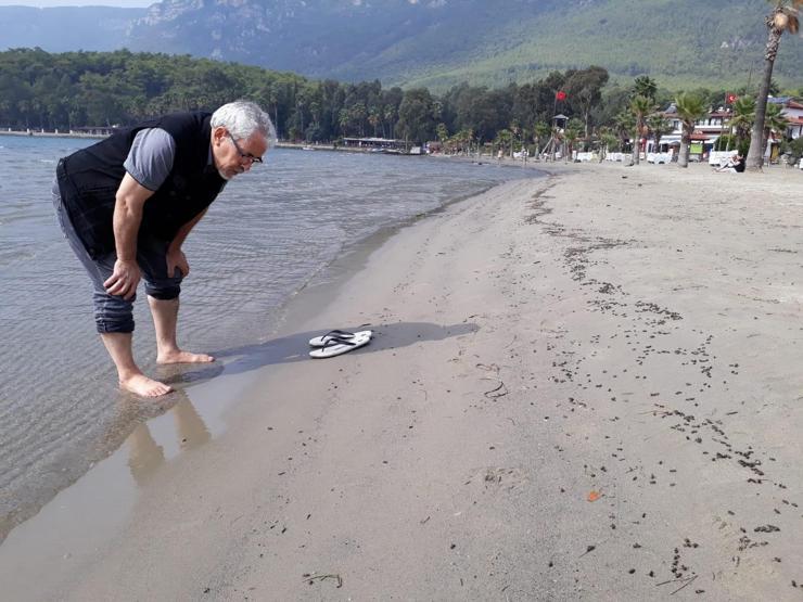 Binlerce arı sahile vurdu