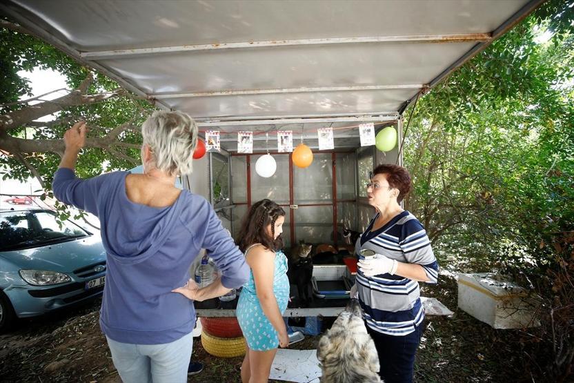 Bazıları mamalarına cam kırıkları atarken iki kahraman öğretmen o canlara sahip çıktı