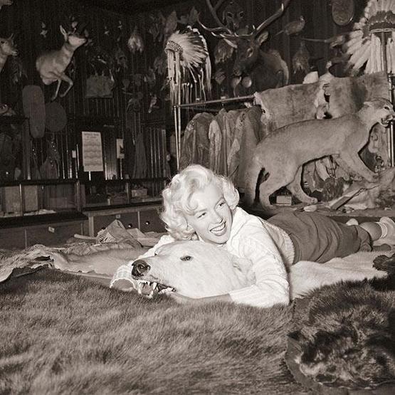 Marilyn Monroenun büyük aşkı