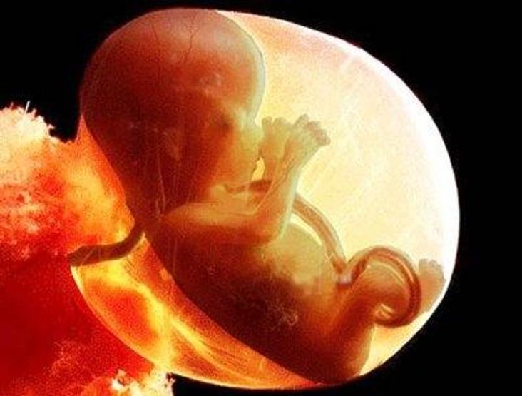 Dünyanın ilk genetik tasarımlı bebekleri doğdu