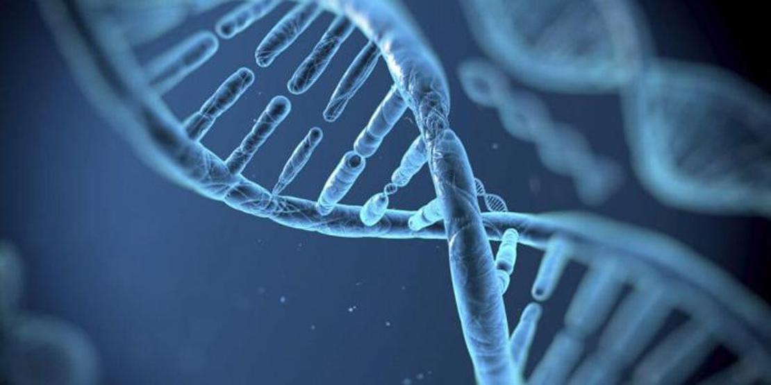 Dünyanın ilk genetik tasarımlı bebekleri doğdu
