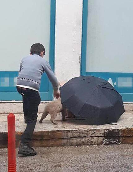 Şemsiyesiyle sokak köpeğini yağmurdan korudu
