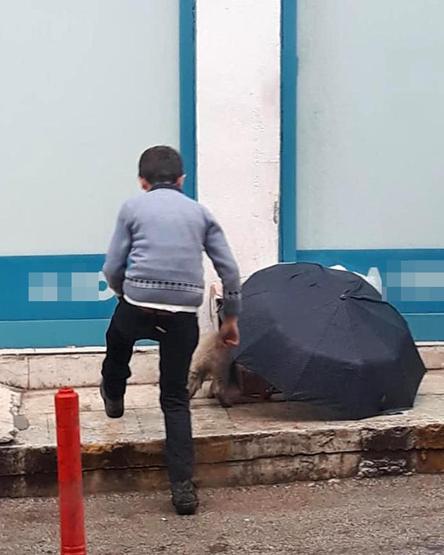 Şemsiyesiyle sokak köpeğini yağmurdan korudu