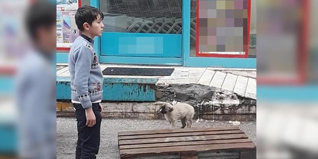 Şemsiyesiyle sokak köpeğini yağmurdan korudu