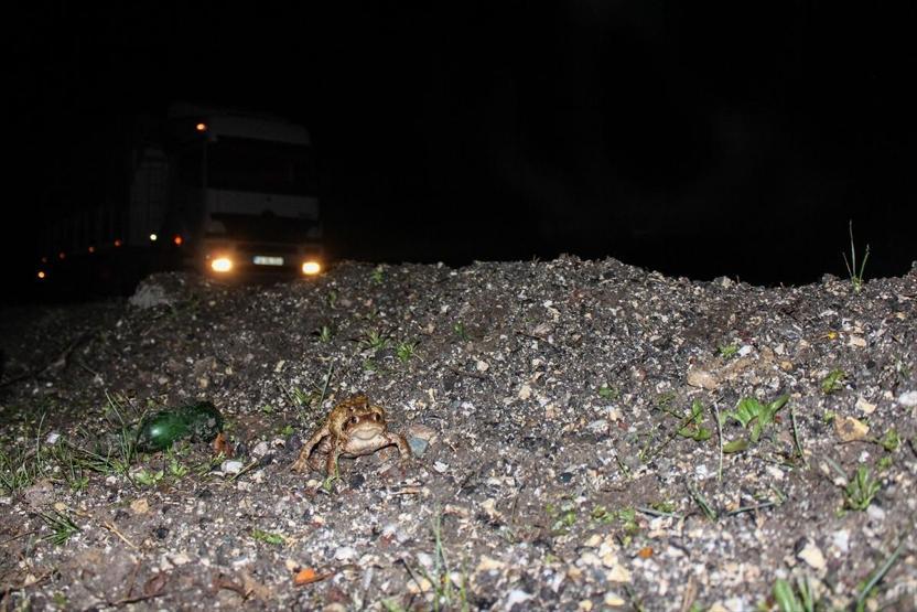 5 bin yıllık göç başladı... Dünyada başka bir örneği yok
