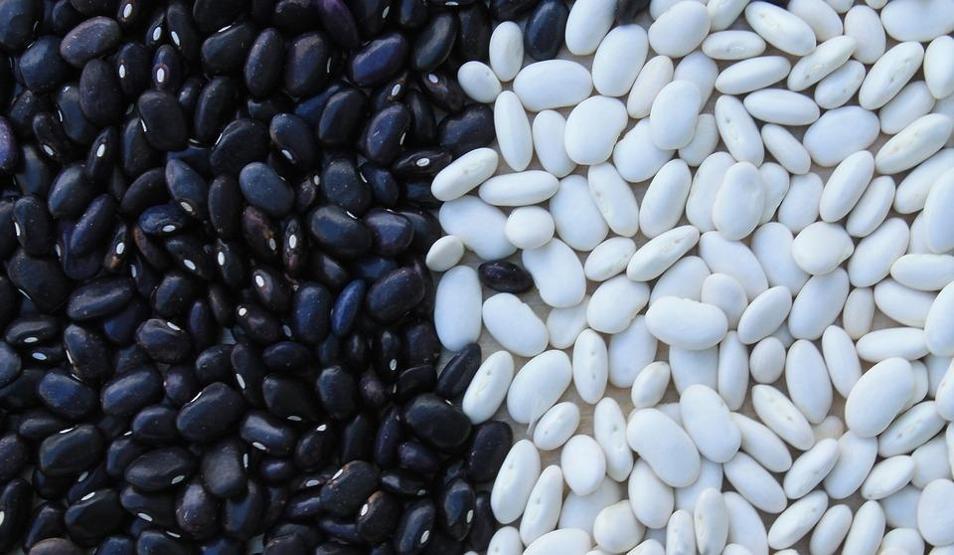 Zayıflattığı bilimsel olarak kanıtlanan 25 mucize besin