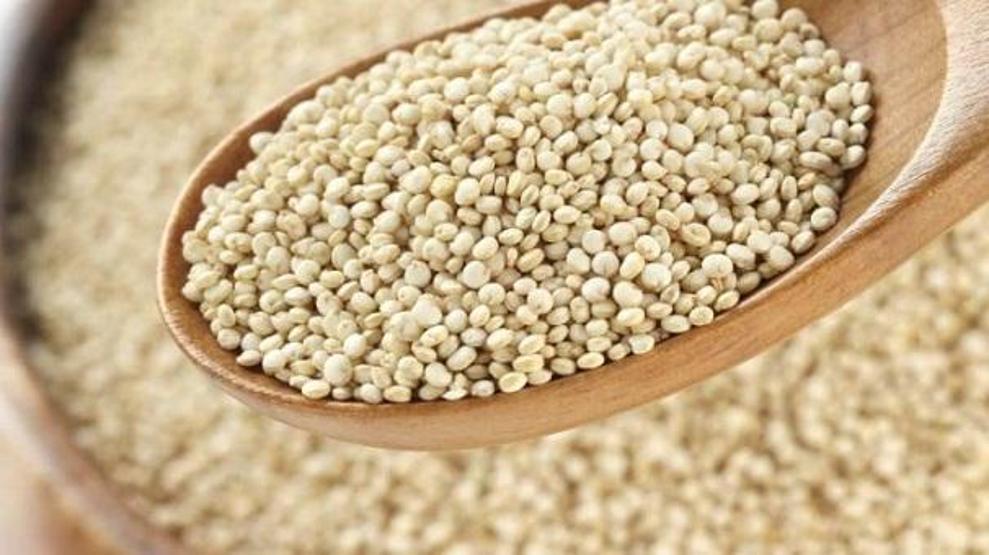 Zayıflattığı bilimsel olarak kanıtlanan 25 mucize besin