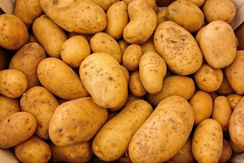 Zayıflattığı bilimsel olarak kanıtlanan 25 mucize besin