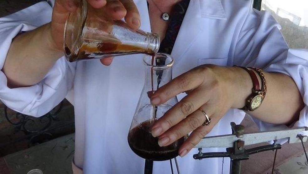 Kazdağlarından gelen şifa: Kantaron yağı
