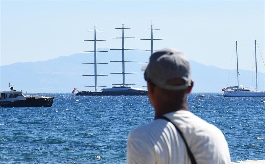 Malta Şahini Bodrumda