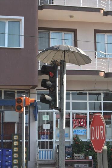 Trafik ışıklarına yuva yapan kumruya şemsiyeli koruma