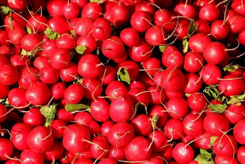 Hormonları bozduğu kanıtlandı