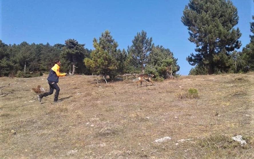 Kaybolan zihinsel engelli adamı iz takip köpeği buldu
