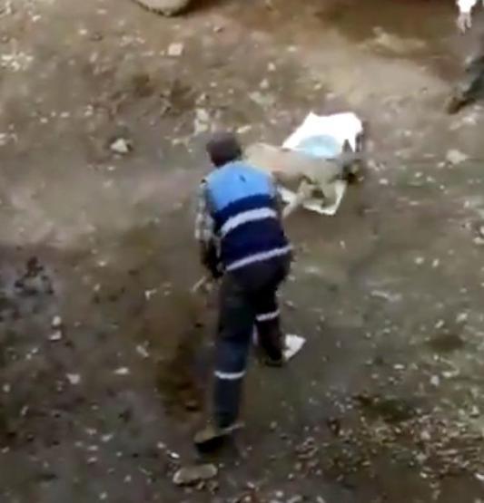 Köpeğe eziyet görüntülerine suç duyurusu
