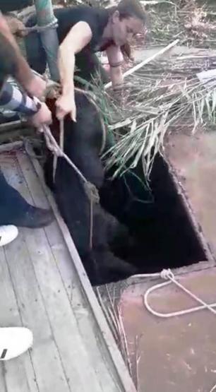 Köpeğini kurtarmak isterken kuyuda mahsur kaldı