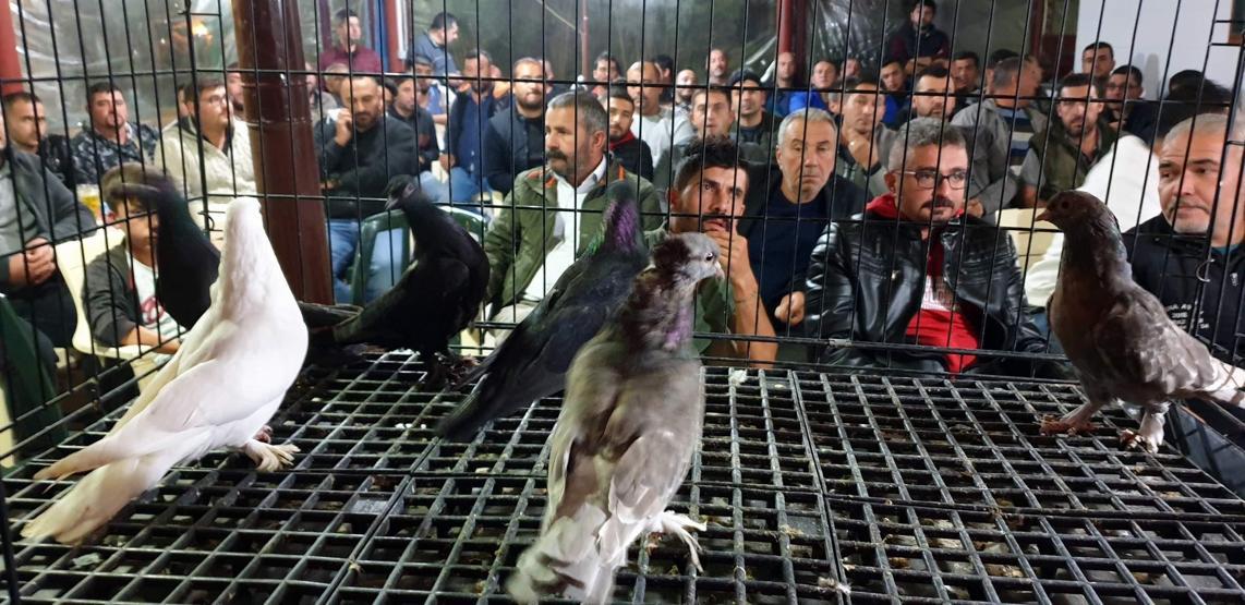 3 yıl önce Vietnamdan getirildi... Bir kap çorbası 350 dolar