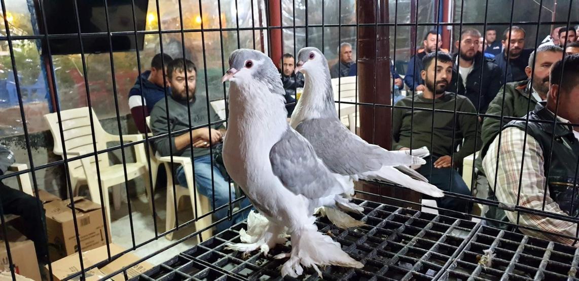 3 yıl önce Vietnamdan getirildi... Bir kap çorbası 350 dolar
