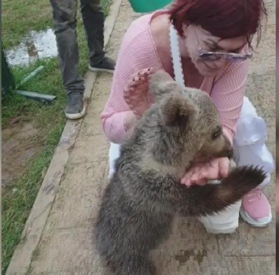Ünlü şarkıcı Emel Müftüoğlu ayı saldırısına uğradı