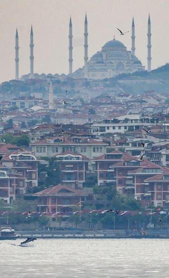 Yunuslar İstanbulda adeta şov yaptı