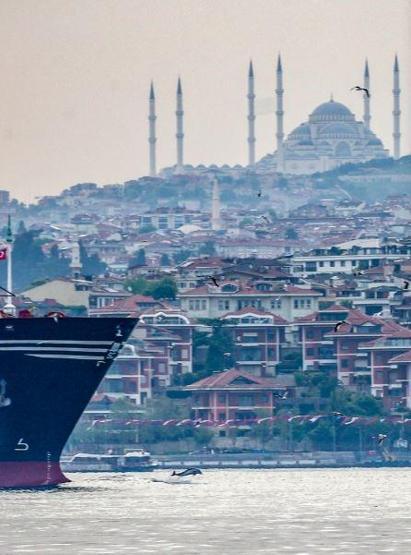Yunuslar İstanbulda adeta şov yaptı