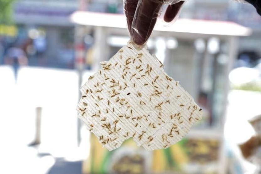 Kahramanmaraşa has lezzetlerde Avrupa Birliği atağı