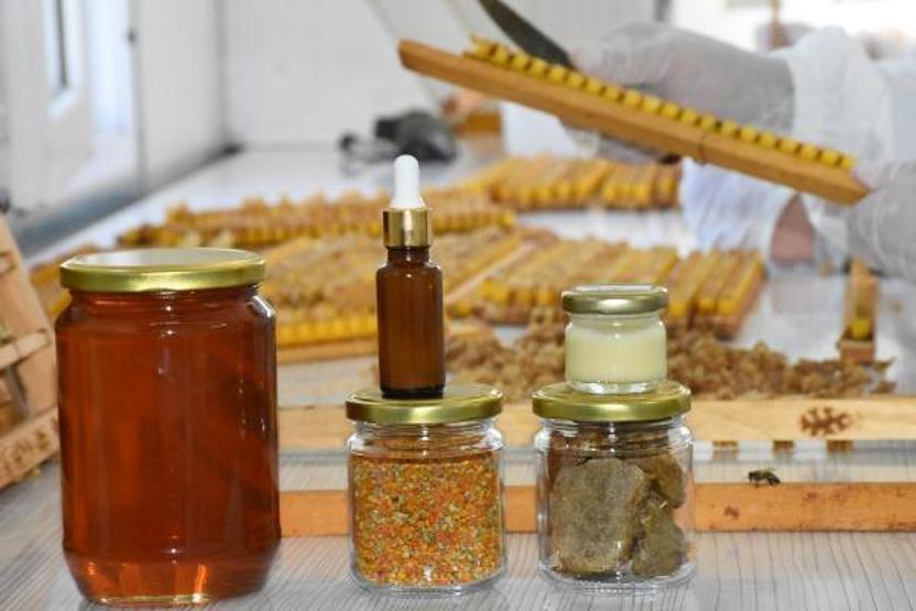 Arı sütünün kilosu 7 bin TLden alıcı buluyor