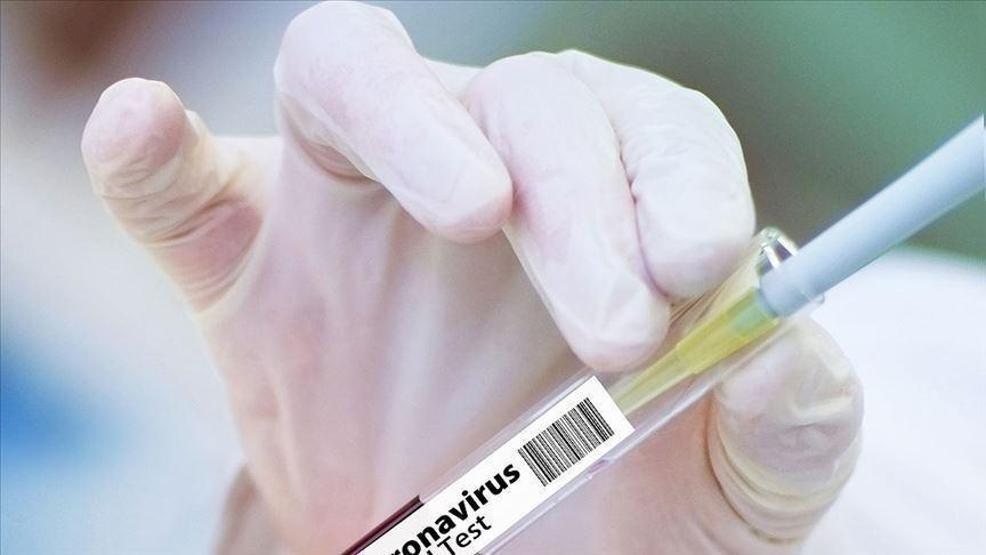Türk profesörün Covid-19 aşısı, Türkiyede 550 gönüllüye uygulanacak