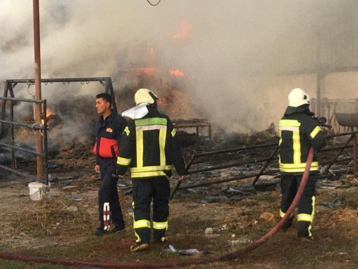 Ahırda yangın çıktı, 2 büyükbaş öldü