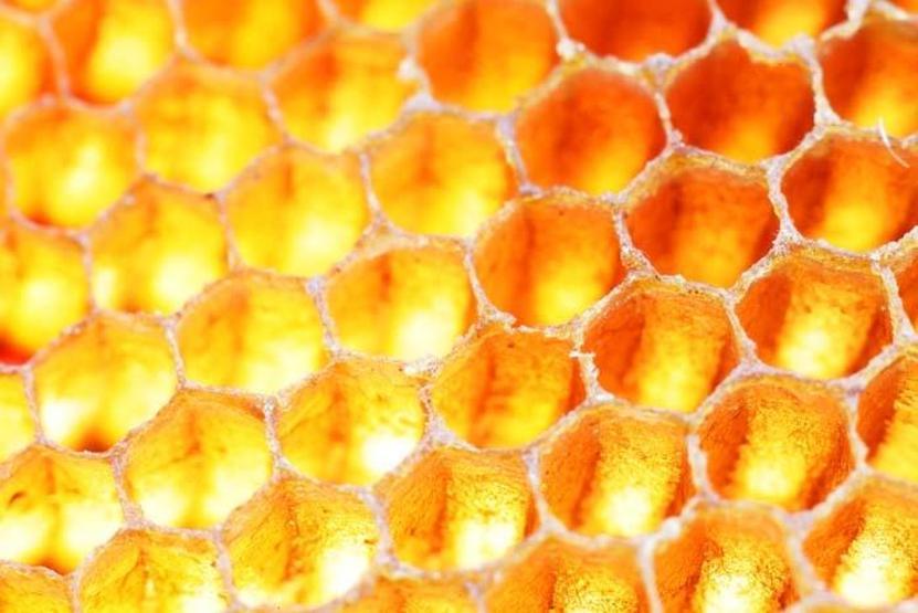 Grip, KOAH, bronşit ve koronavirüse karşı koruyucu etkisi var Kışa girerken satışlar patladı