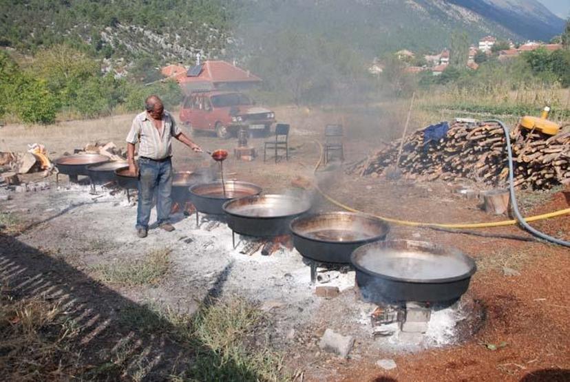 Doğal şifa kaynağı Toroslardan toplanıyor sadece pekmez olarak tüketiliyor